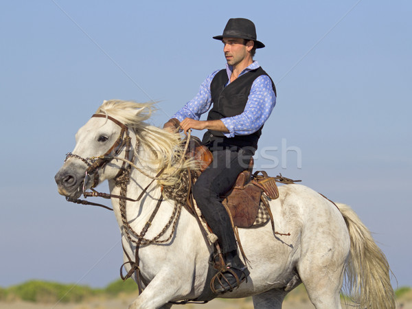 Stock fotó: Ló · tengerpart · férfi · sport · sebesség · fiatal