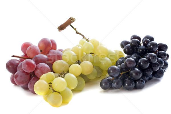 three varieties of grapes Stock photo © cynoclub