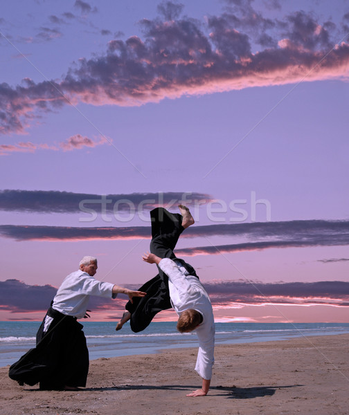 Aikido dois treinamento praia esportes natureza Foto stock © cynoclub