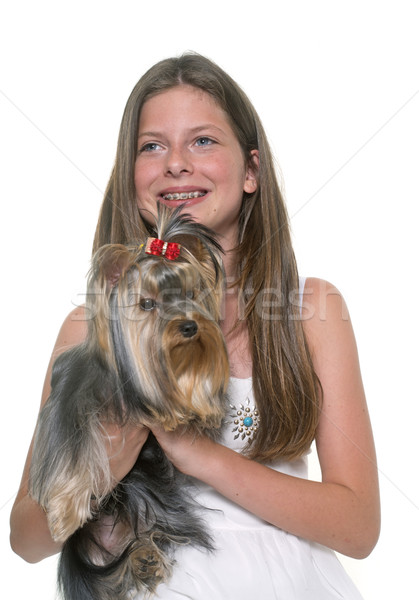young yorkshire terrier and child Stock photo © cynoclub