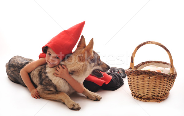 Little Red Riding Hood Stock photo © cynoclub