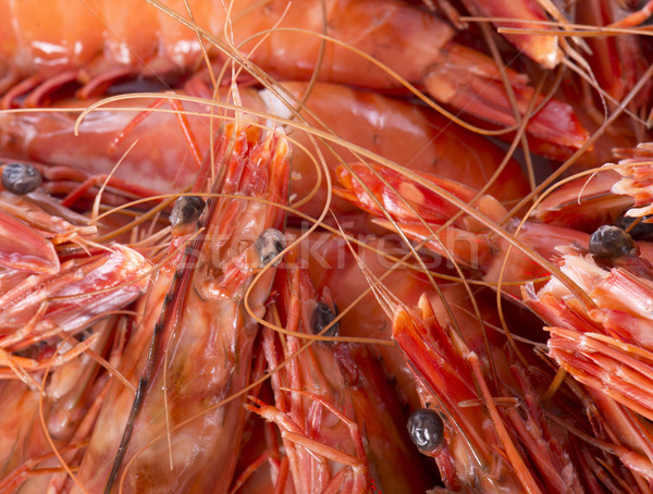 Drunken shrimp Stock photo © cynoclub