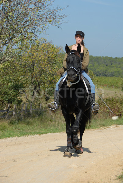 Assistindo menina garanhão equitação mulher jovem melhor amigo Foto stock © cynoclub