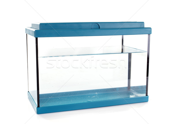 Aquarium Blauw witte schone studio tank Stockfoto © cynoclub