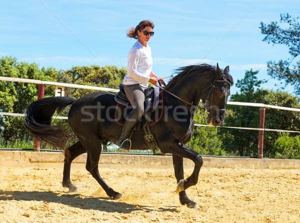 riding woman on stallion Stock photo © cynoclub