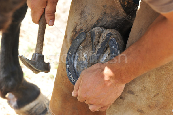 Nagel Hammer Pferde Hand Service Stock foto © cynoclub