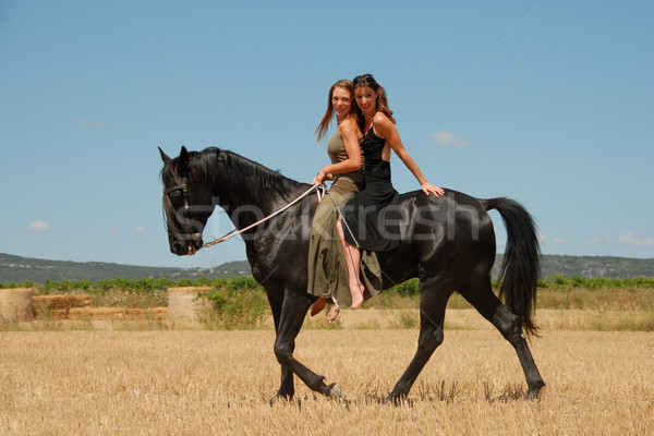 Gelukkig paardrijden vrouwen twee vrienden paardrijden Stockfoto © cynoclub