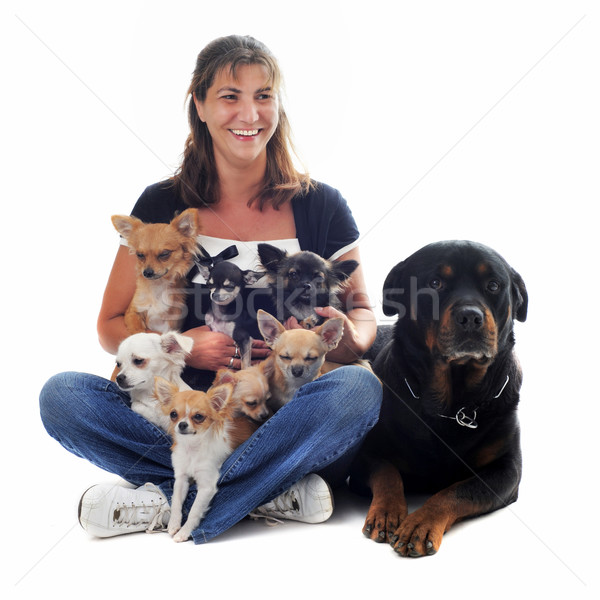 Stok fotoğraf: Kadın · köpekler · genç · kadın · yedi · bir · rottweiler