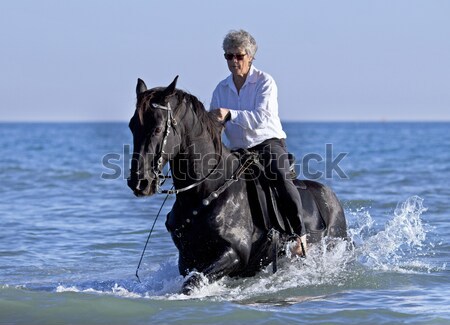 horsewoman in the sea Stock photo © cynoclub