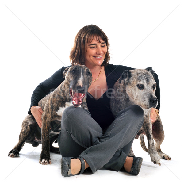 woman and dogs Stock photo © cynoclub