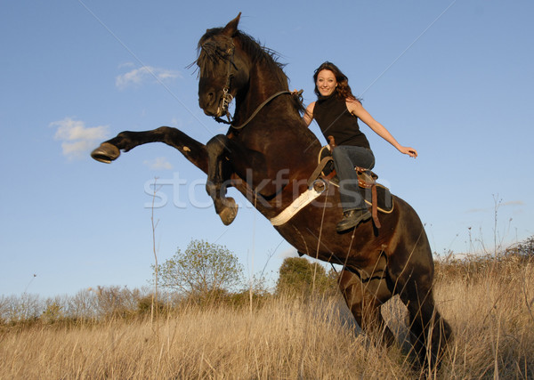 rearing stallion and girl Stock photo © cynoclub