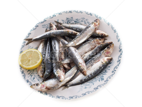 fresh sardine Stock photo © cynoclub