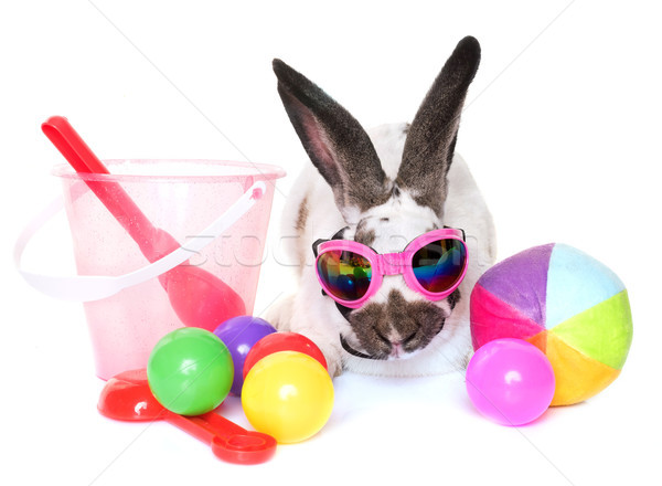 Schachbrettartig Riese Kaninchen Feiertage Gläser weiß Stock foto © cynoclub