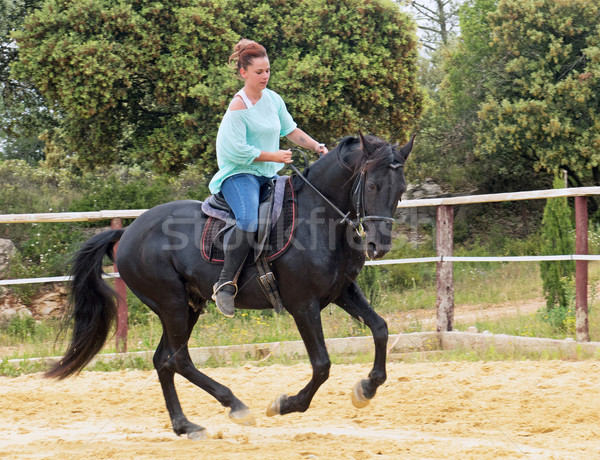 верховая езда девушки жеребец подготовки лошади молодые Сток-фото © cynoclub