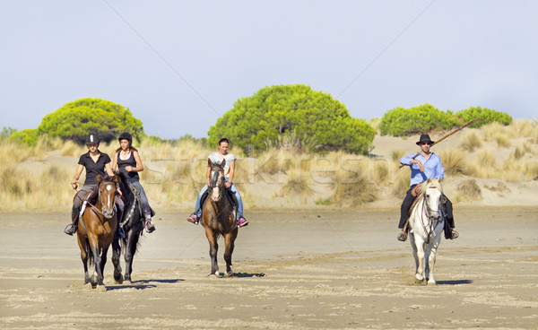 horsemen on the beach Stock photo © cynoclub