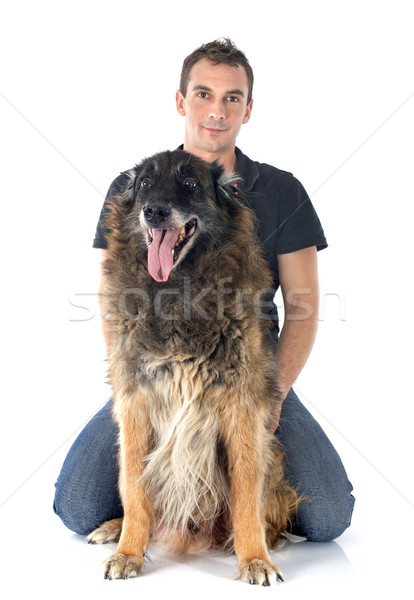 old belgian shepherd and man Stock photo © cynoclub