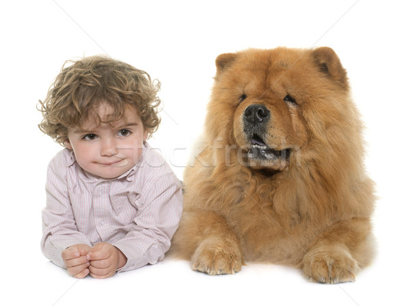 Nino Blanco Bebe Nino Pelo Estudio Foto Stock C Cynoclub Stockfresh