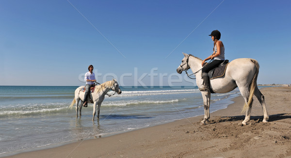 horseback riding in holidays Stock photo © cynoclub