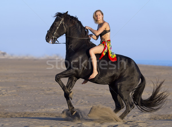 horsewoman on the beach Stock photo © cynoclub