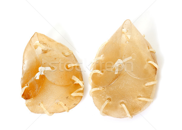 edible shoes for dog Stock photo © cynoclub