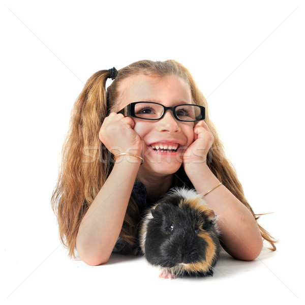 Enfant guinée porc portrait rire petite fille blanche [[stock_photo]] © cynoclub