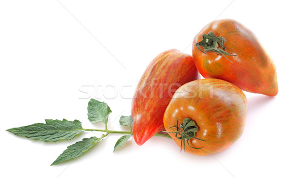 San Marzano tomatoes Stock photo © cynoclub