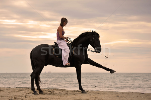 Fille cheval plage belle noir étalon [[stock_photo]] © cynoclub