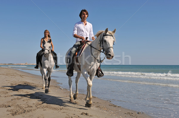 horseback riding on the beach Stock photo © cynoclub