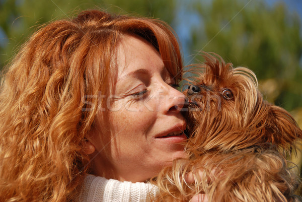 Nő kicsi kutya vörös haj fajtiszta Yorkshire Stock fotó © cynoclub