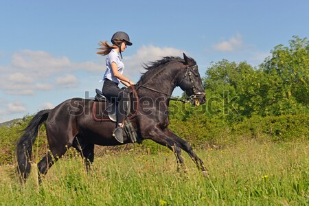 horse laid down and riding girl Stock photo © cynoclub