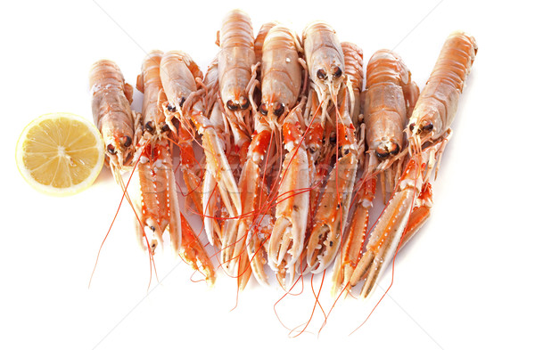 Stock photo: Dublin Bay Prawn