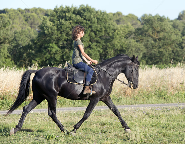 Jovem equitação menina preto garanhão natureza Foto stock © cynoclub