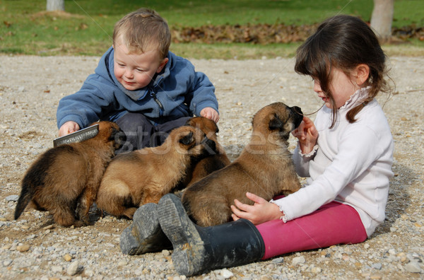 children and puppies Stock photo © cynoclub