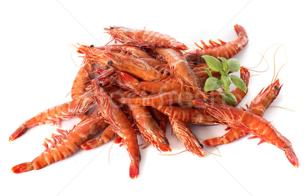 Ivre crevettes blanche alimentaire rouge studio Photo stock © cynoclub