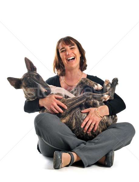 bull terrier and woman Stock photo © cynoclub
