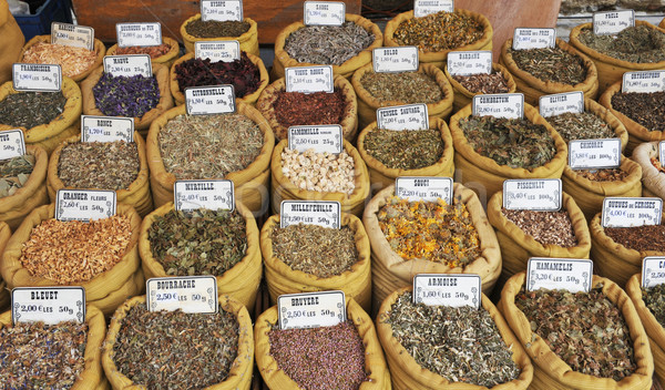 dried plants Stock photo © cynoclub