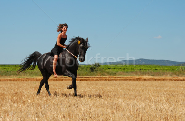 équitation fille jeune femme noir étalon domaine Photo stock © cynoclub