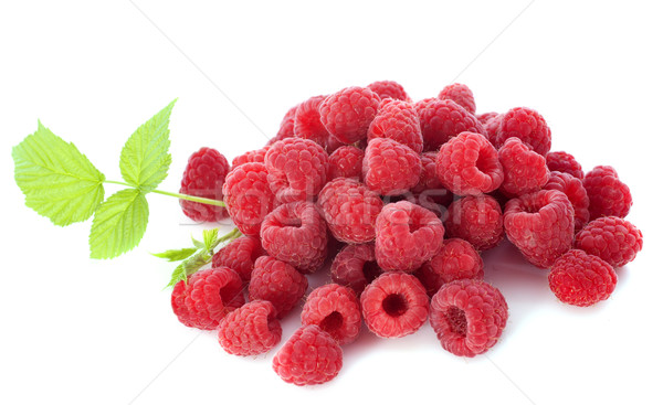 Framboises feuille blanche alimentaire groupe rouge [[stock_photo]] © cynoclub