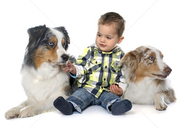 little boy and dogs Stock photo © cynoclub