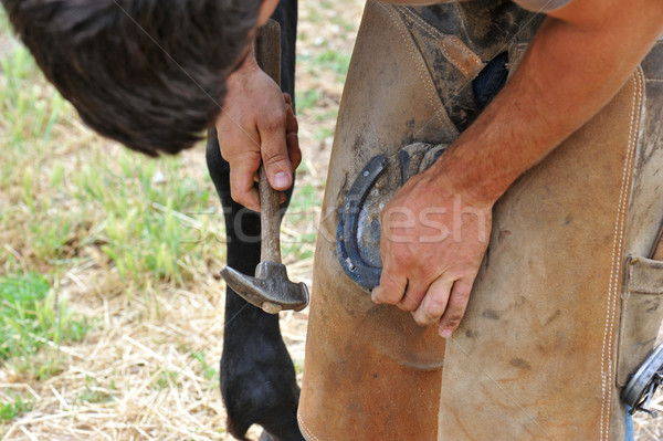 farrier Stock photo © cynoclub
