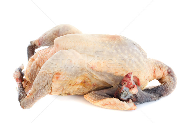 Stockfoto: Guinea · gevogelte · voedsel · vogel · vlees