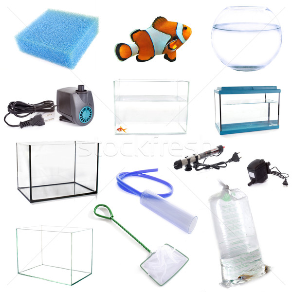 aquarium equipment Stock photo © cynoclub