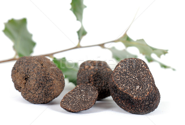 truffles Stock photo © cynoclub