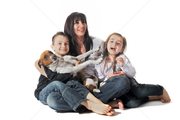 family and  jack russel terrier Stock photo © cynoclub