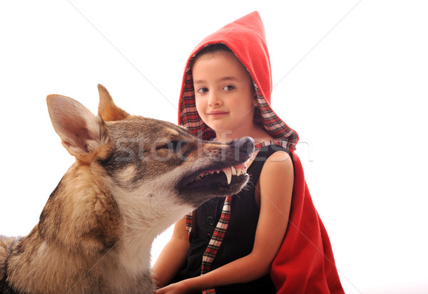 Little Red Riding Hood Stock photo © cynoclub