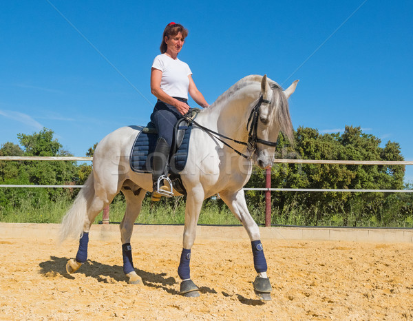 training of riding girl Stock photo © cynoclub