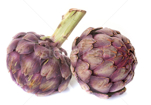 purple artichoke in studio Stock photo © cynoclub