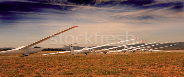 gliders in evening Stock photo © cynoclub