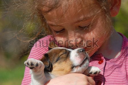 child and puppy Stock photo © cynoclub