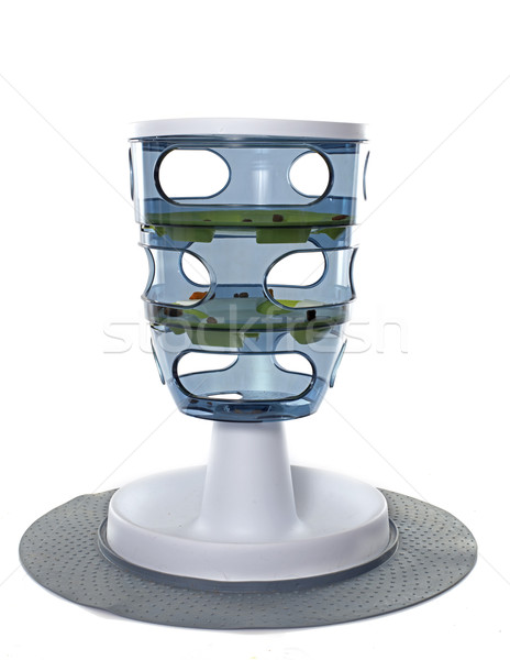 dry pet food dispenser Stock photo © cynoclub